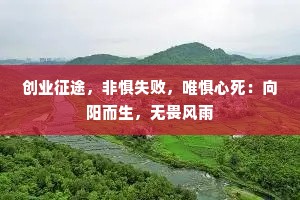 创业征途，非惧失败，唯惧心死：向阳而生，无畏风雨