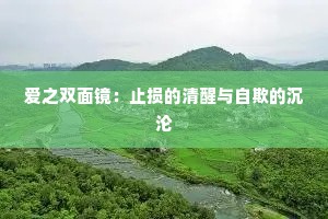 爱之双面镜：止损的清醒与自欺的沉沦