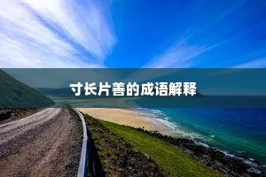 寸长片善的成语解释