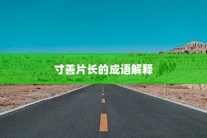 寸善片长的成语解释