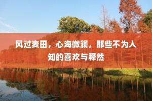 风过麦田，心海微澜，那些不为人知的喜欢与释然