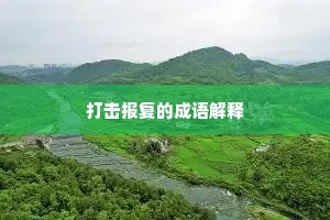 打击报复的成语解释