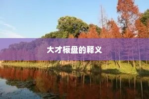 大才榱盘的释义