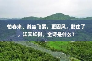 穷途亦燃志，青云梦不灭 —— 王勃之语，照见现实坚韧之魂