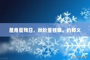 平衡之美，贫富之外，皆需恰当比例的艺术