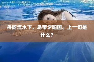 好高骛远，梦想之翼下的现实裂痕