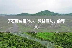 争春岂敢当红紫，贴地何能助碧丹。的释义