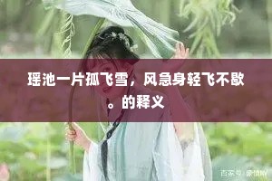 金钱之镜，欲望深渊与自由彼岸