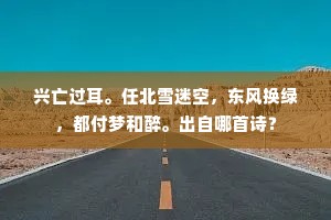在绝望深渊，寻觅宁静与自由的微光