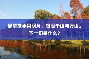 蕙心纨质的释义