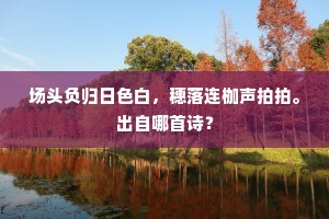 讲师高据狮子座，缁素群集惊盲聋。的解释