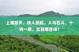 辛勤亦何有，身体衣几缕？出自哪首诗？