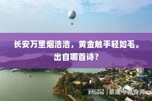 漫捲黄沙腥带血，横流苍海叠浮尸。的释义