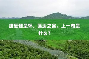 君今伤燕婉，伺以慰哀思。下一句是什么？