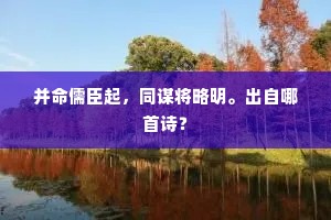 混淆黑白的解释