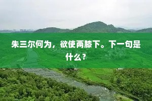 行人欲问前朝事，春草青青掩夕阳。下一句是什么？