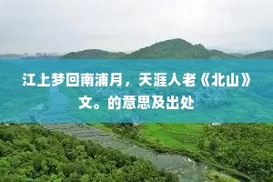 高岫留斜照，归鸿背落霞。的意思及出处