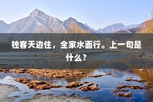 殡宫冷落清夜长，银鸭金凫不堪食。的释义
