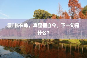 哀痛平生足，吞声返竹关。的意思及出处