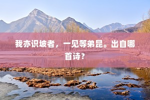 农功将纳场，馀秉尚栖亩。的解释
