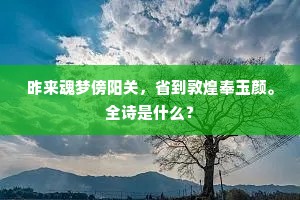 万里游惟图一饱，三年泪忍到重泉。的解释
