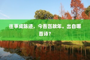 成败古今争一著，闲来无事看围棋。的释义