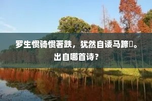 曰四先生，论道经邦。全诗是什么？