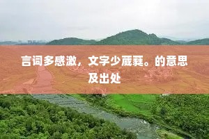 惟将忧国涕，珍重付江水。的解释