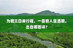 道人宴坐碧山阿，出自哪首诗？