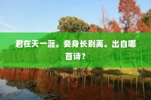清幽仿佛西湖上，惆怅归来独倚楼。的意思及出处