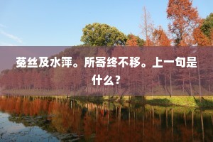 门开下瞰双溪水，壁立新磨万丈砖。下一句是什么？