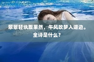 镜中雪鬓数茎新，归作田间负耒民。的释义