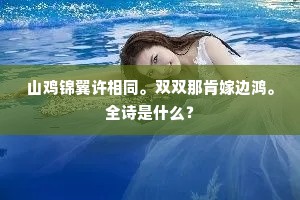 霜点青丝缕，禁数载江湖，听风听雨。上一句是什么？