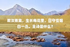 善行之悦，托尔斯泰笔下的人生真谛