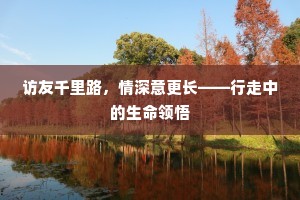 访友千里路，情深意更长——行走中的生命领悟