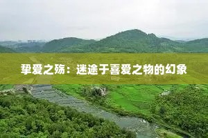 挚爱之殇：迷途于喜爱之物的幻象