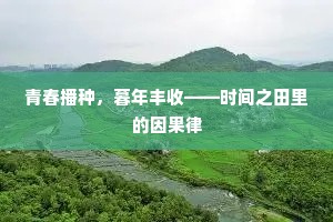 青春播种，暮年丰收——时间之田里的因果律