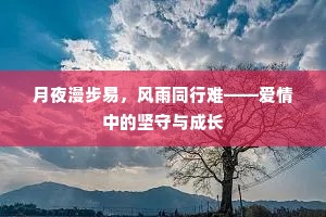 月夜漫步易，风雨同行难——爱情中的坚守与成长
