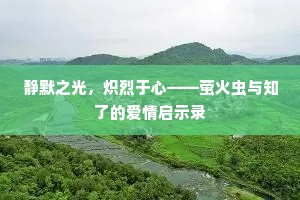 静默之光，炽烈于心——萤火虫与知了的爱情启示录