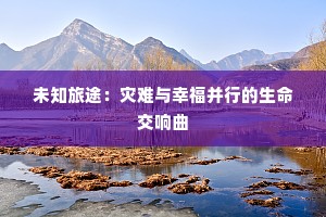 未知旅途：灾难与幸福并行的生命交响曲