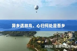 异乡遇故鸟，心归何处是吾乡