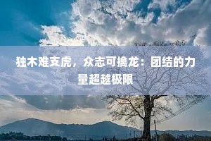 独木难支虎，众志可擒龙：团结的力量超越极限