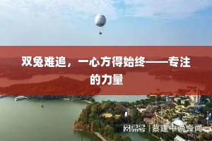 双兔难追，一心方得始终——专注的力量