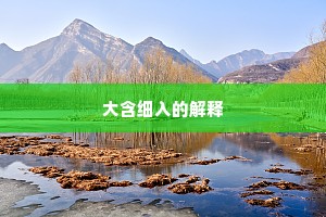 大含细入的解释