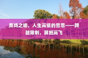 鹰鸡之喻，人生高低的哲思——跨越限制，展翅高飞
