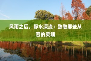 风雨之后，静水深流：致敬那些从容的灵魂