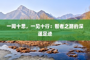 一闻十思，一见十行：智者之路的深邃足迹