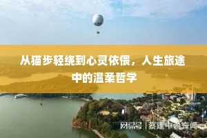 从猫步轻绕到心灵依偎，人生旅途中的温柔哲学