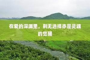 在爱的深渊里，别无选择亦是灵魂的觉醒