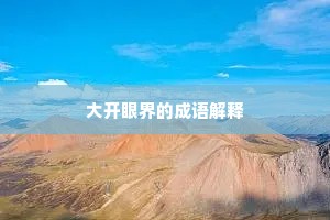 大开眼界的成语解释